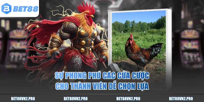 Sự phong phú các cửa cược cho thành viên dễ chọn lựa